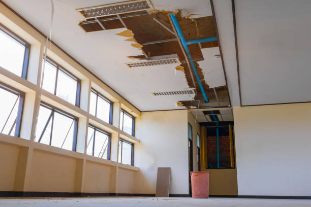 Best Water damage restoration near me  in Bismarck, ND