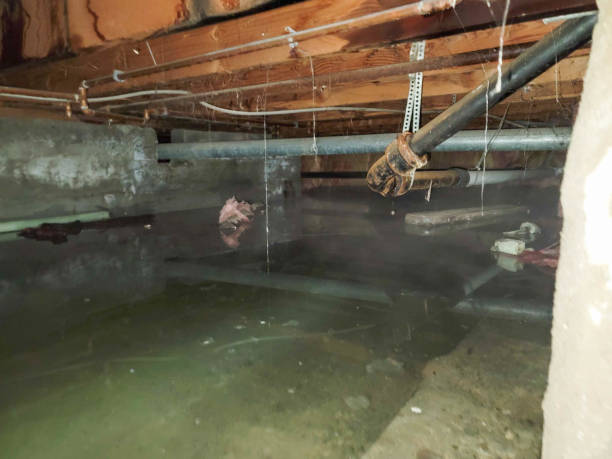 Local water damage restoration in ND