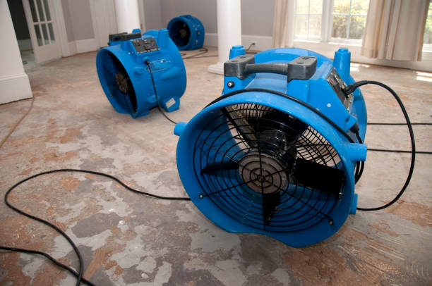 Best Mold removal after water damage  in Bismarck, ND