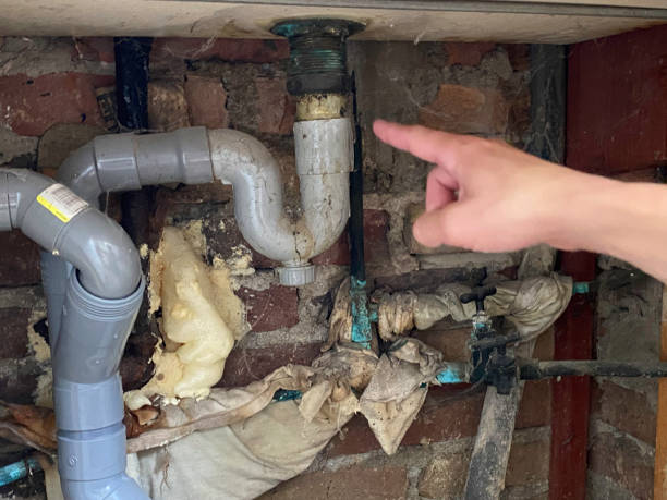 Best Water damage contractors near me  in Bismarck, ND