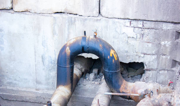 Best Water damage restoration mold remediation  in Bismarck, ND