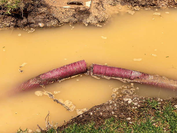 Water damage restoration experts in ND