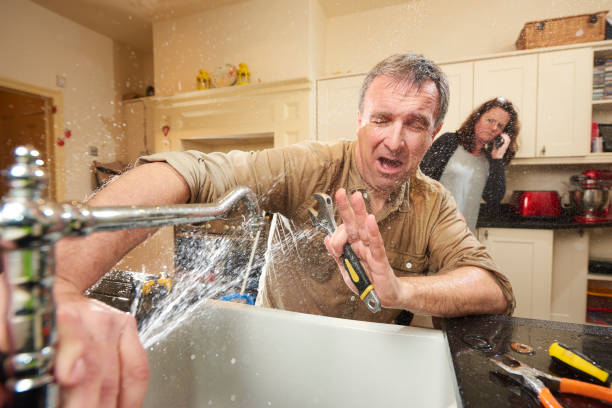 Best Carpet water damage restoration  in Bismarck, ND